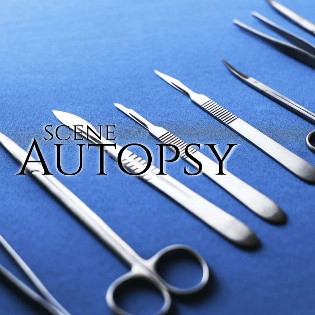 Nightmare Fuel - Scene Autopsies